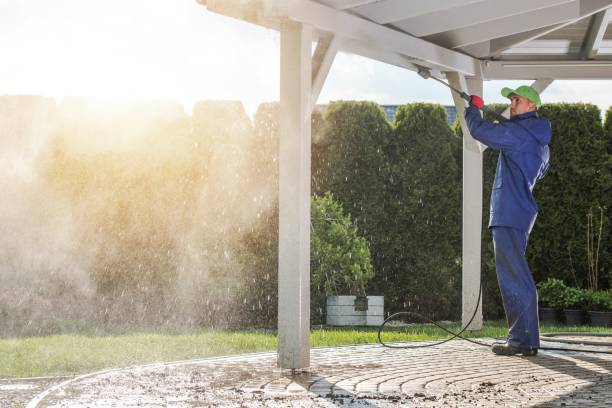 Best Soft Washing  in Three Rivers, CA